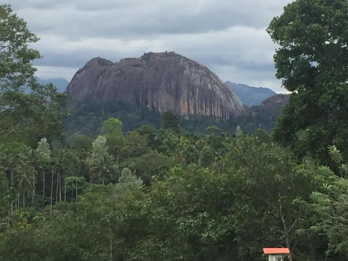 Wayanad Cave N Pillar Resort Sultan Bathery