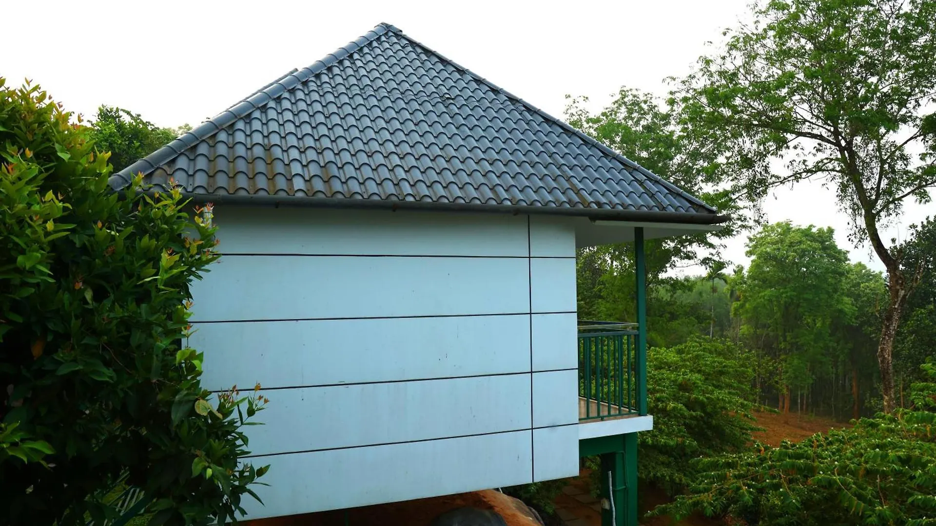 Wayanad Cave N Pillar Resort سلطان بتيري 0*,