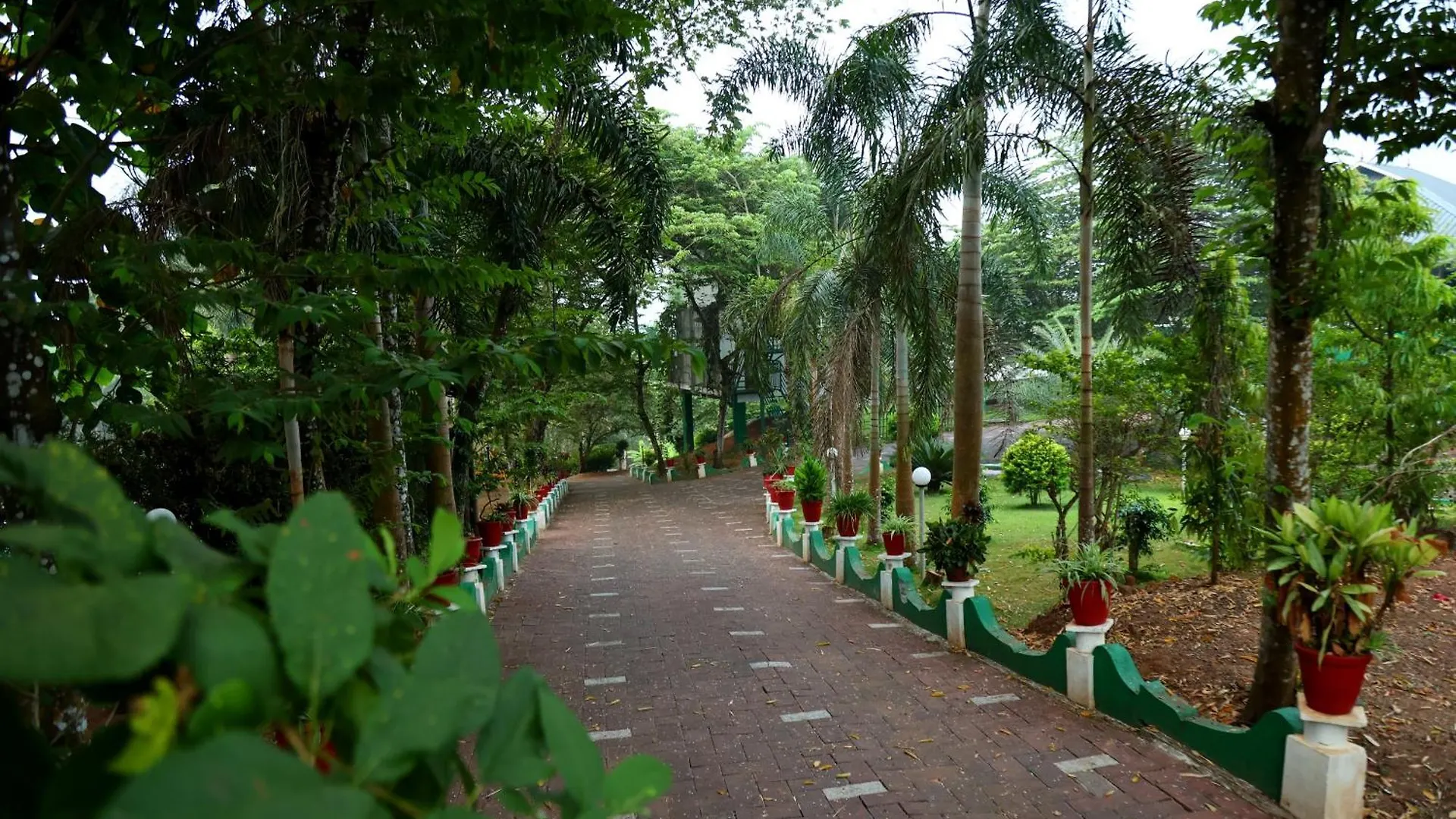 Wayanad Cave N Pillar Resort سلطان بتيري الهند